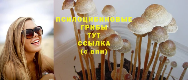 бошки Надым