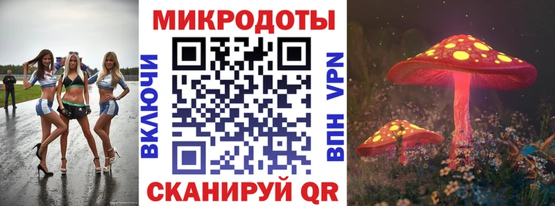 Псилоцибиновые грибы Psilocybine cubensis  Купить где  Нея 